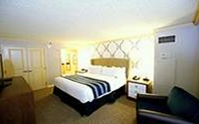 Las Vegas Premium Double room