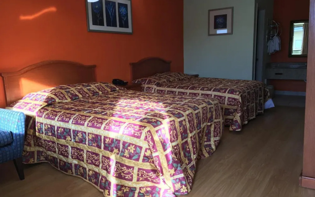Economy Quadruple room