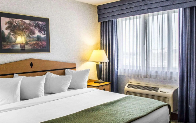 1 Bedroom Suite