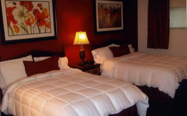 1 Bedroom Suite