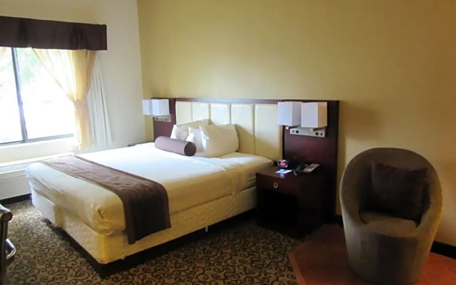 Double Studio Suite