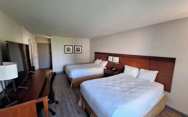 Premier Double room