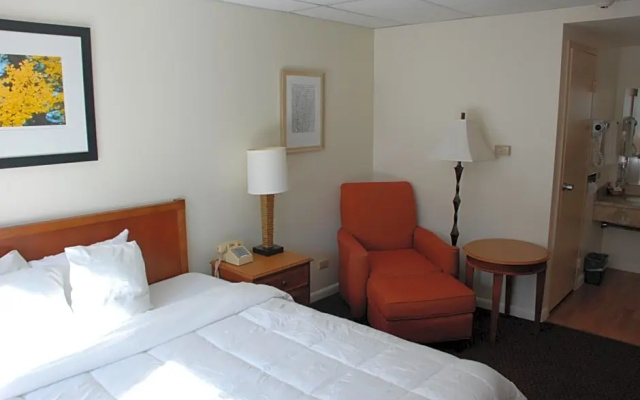Standard room with mountain view