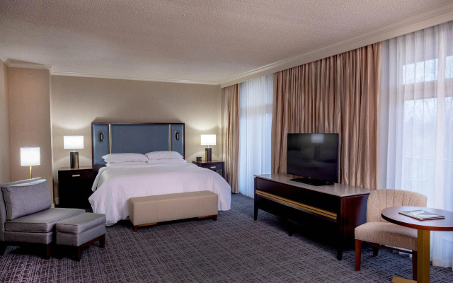 Presidential Double Suite with city view