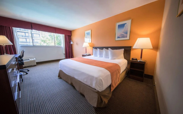 Double Studio Suite