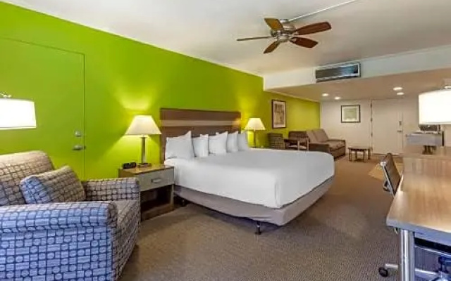 Superior Suite