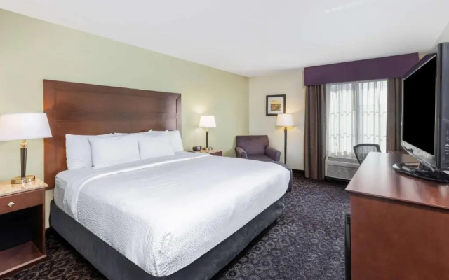 1 Bedroom Double Suite
