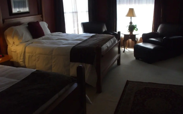 Deluxe Double room with balcony and with river view