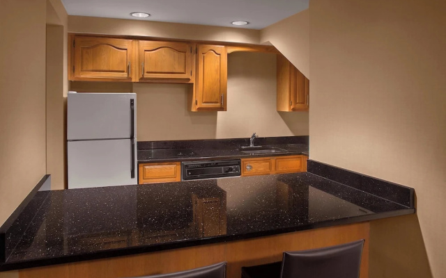 1 Bedroom Standard Penthouse room