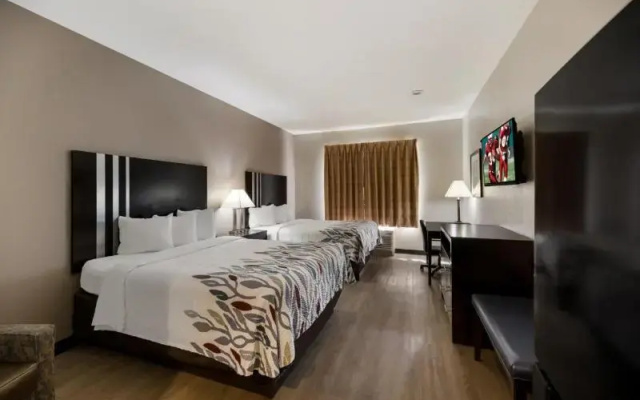 Standard Sextuple room