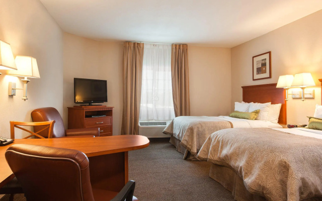 Twin Suite