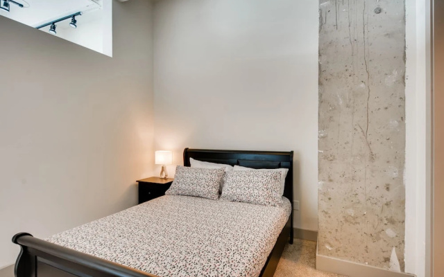 Luxury Apartment