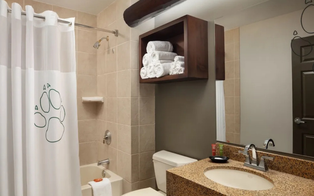 Luxury Suite