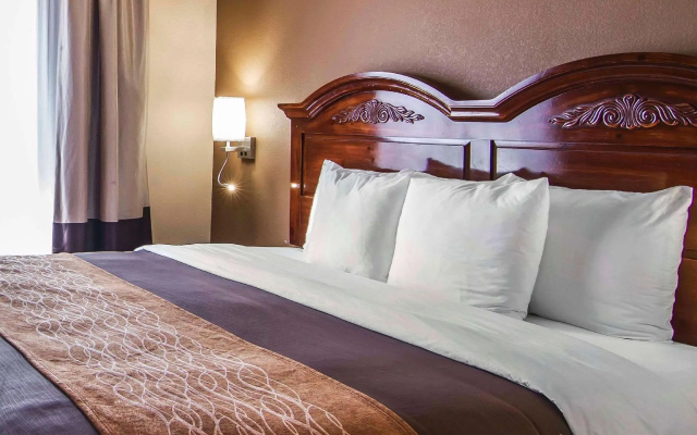 1 Bedroom Suite