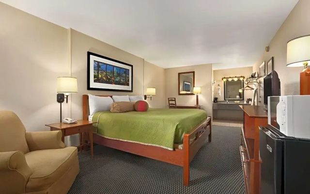 Standard Double room with courtyard view