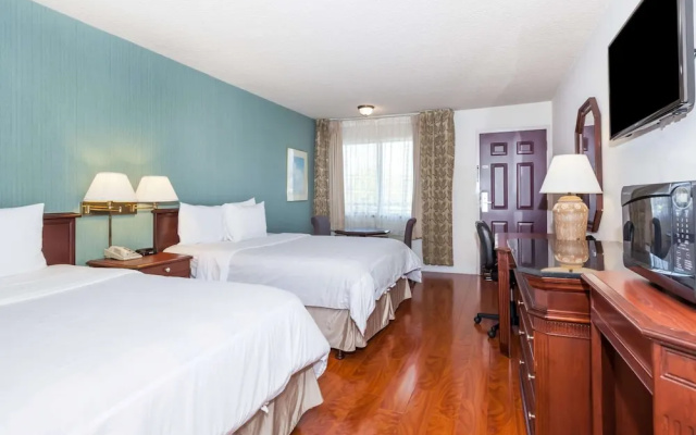 1 Bedroom Suite