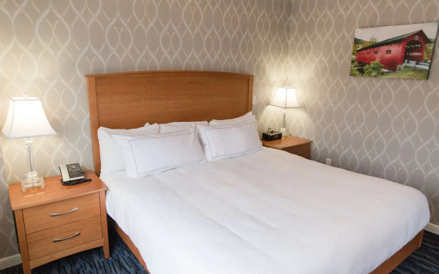 1 Bedroom Suite