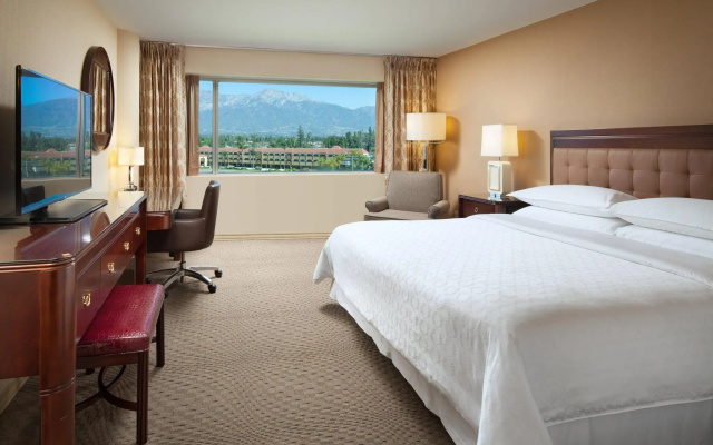 Standard Sextuple room