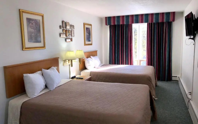 Premium Suite