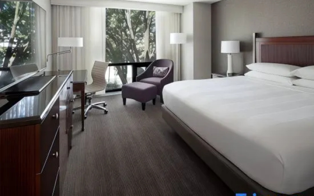 Standard room with lake view