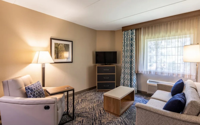 1 Bedroom Suite