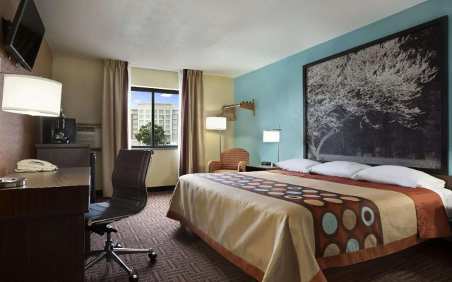 Double Studio Suite