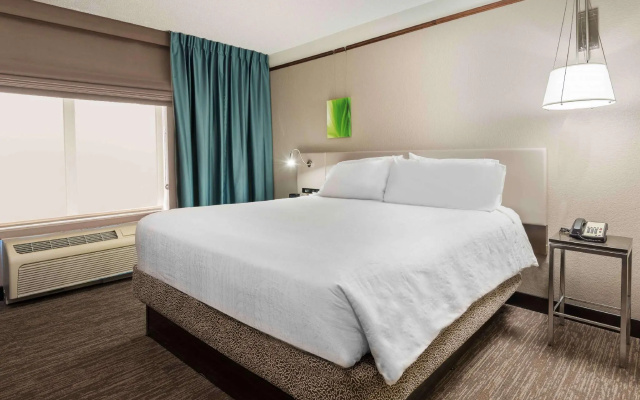 1 Bedroom Double Suite with Sofa Bed