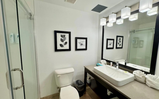 Double Suite