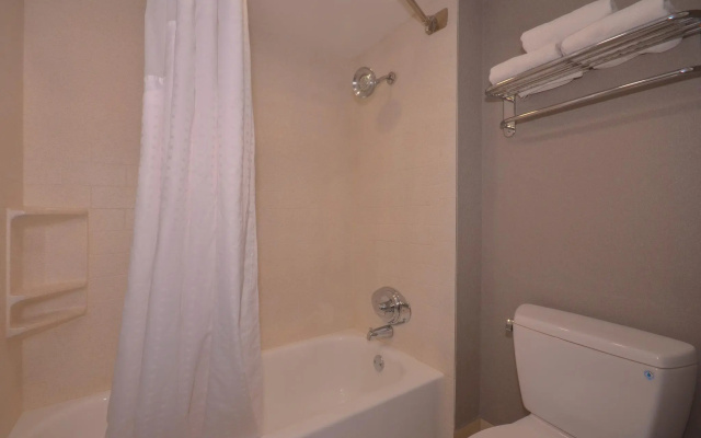1 Bedroom Double Suite