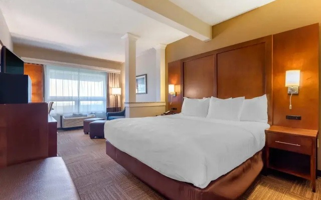 Standard Suite