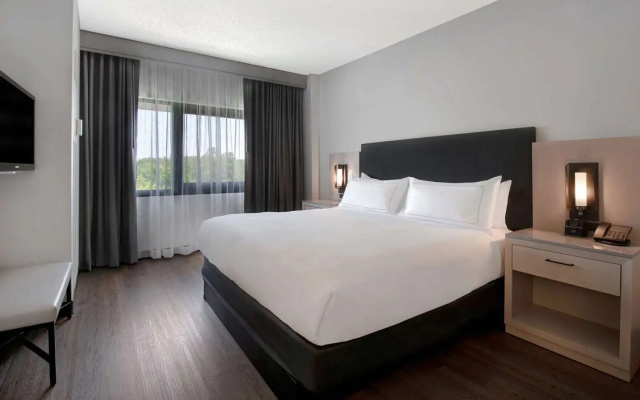 1 Bedroom Suite