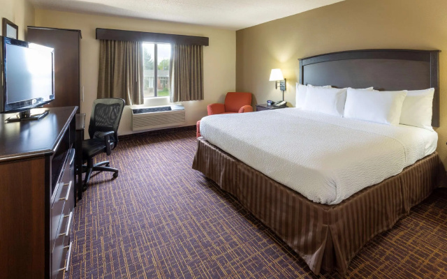 Superior Suite