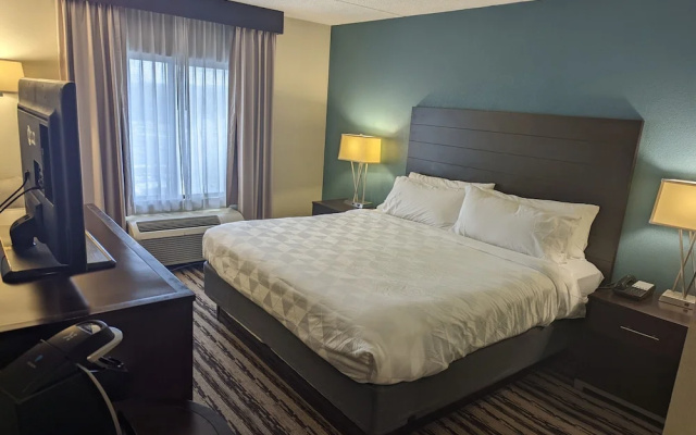 1 Bedroom Suite