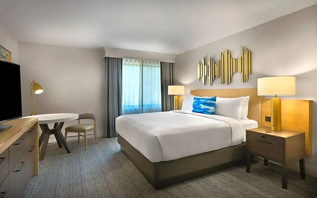 1 Bedroom Double Suite