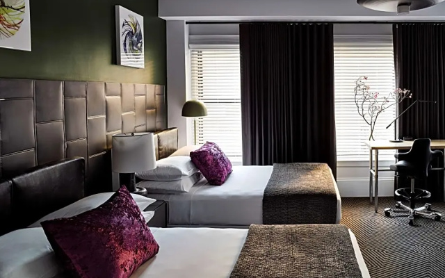 Family Quadruple Suite