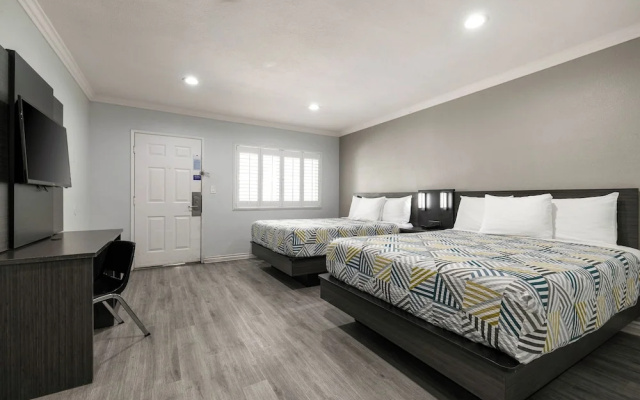 Standard Suite