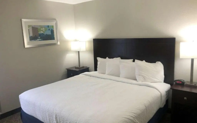 1 Bedroom Double Suite