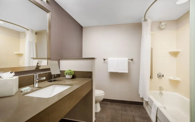 1 Bedroom Executive Suite