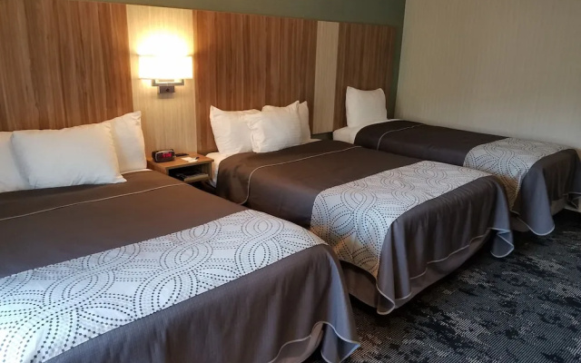 Standard room