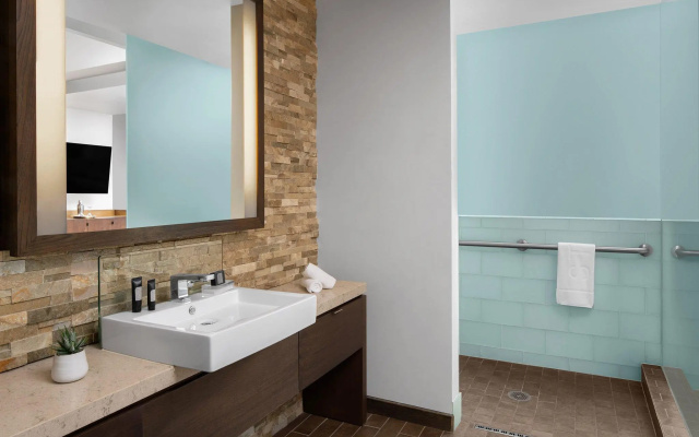 Double Suite with garden view