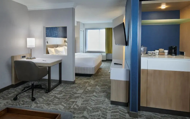 1 Bedroom Deluxe Suite