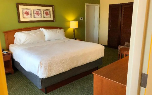 Double Suite with city view