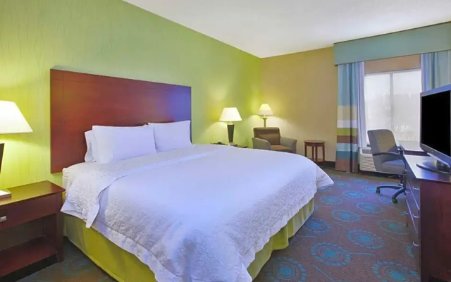 1 Bedroom Suite