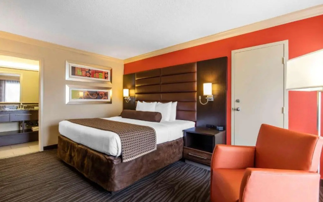 Superior room