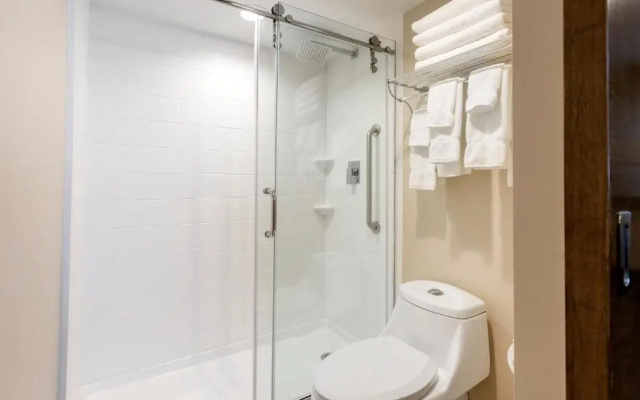 Double Basement Suite