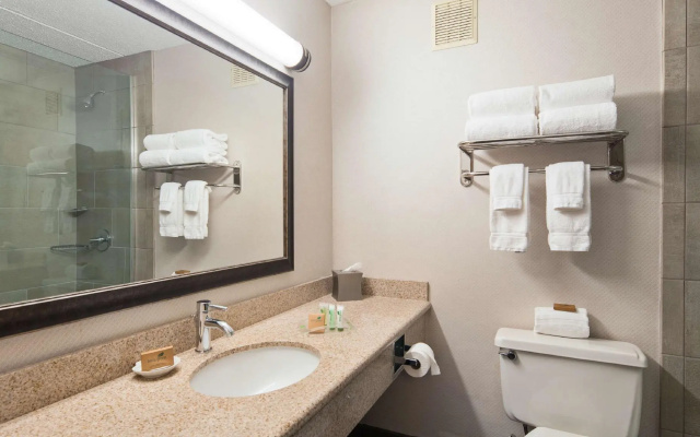 Deluxe Double room with courtyard view