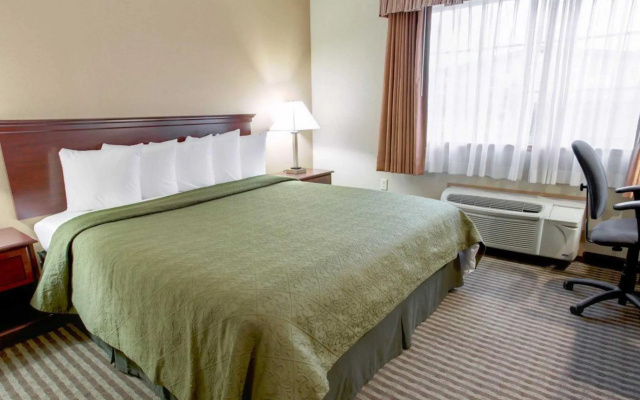 1 Bedroom Double Suite