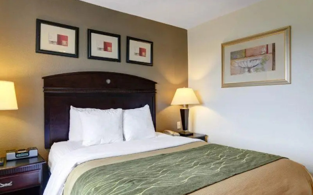 Standard room with city view