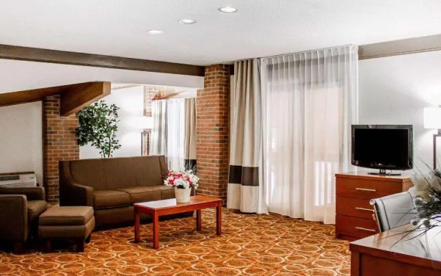 Standard Suite
