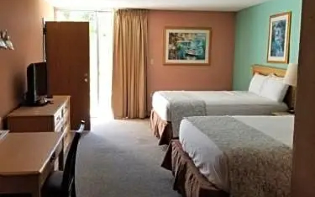 Standard Suite